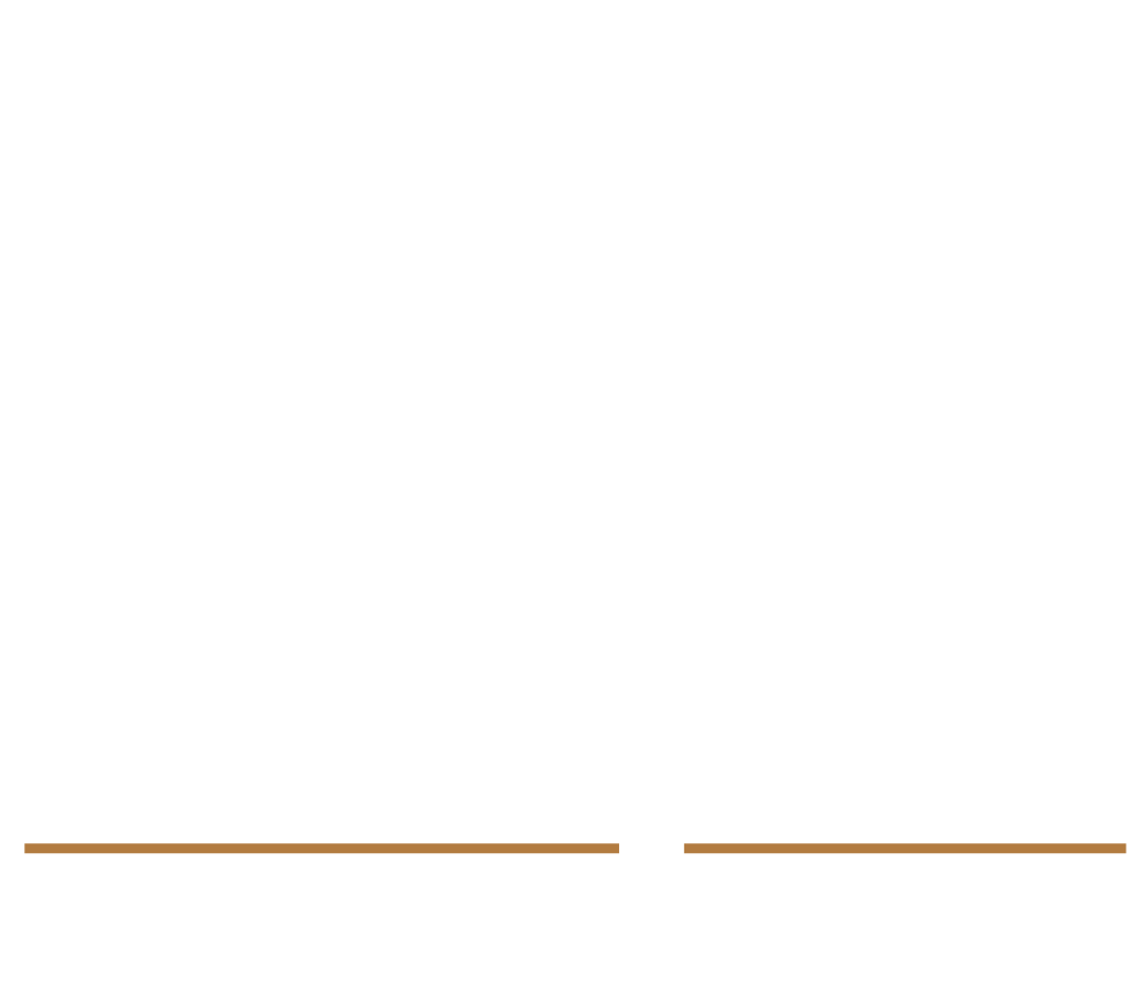 Price Knives Logo
